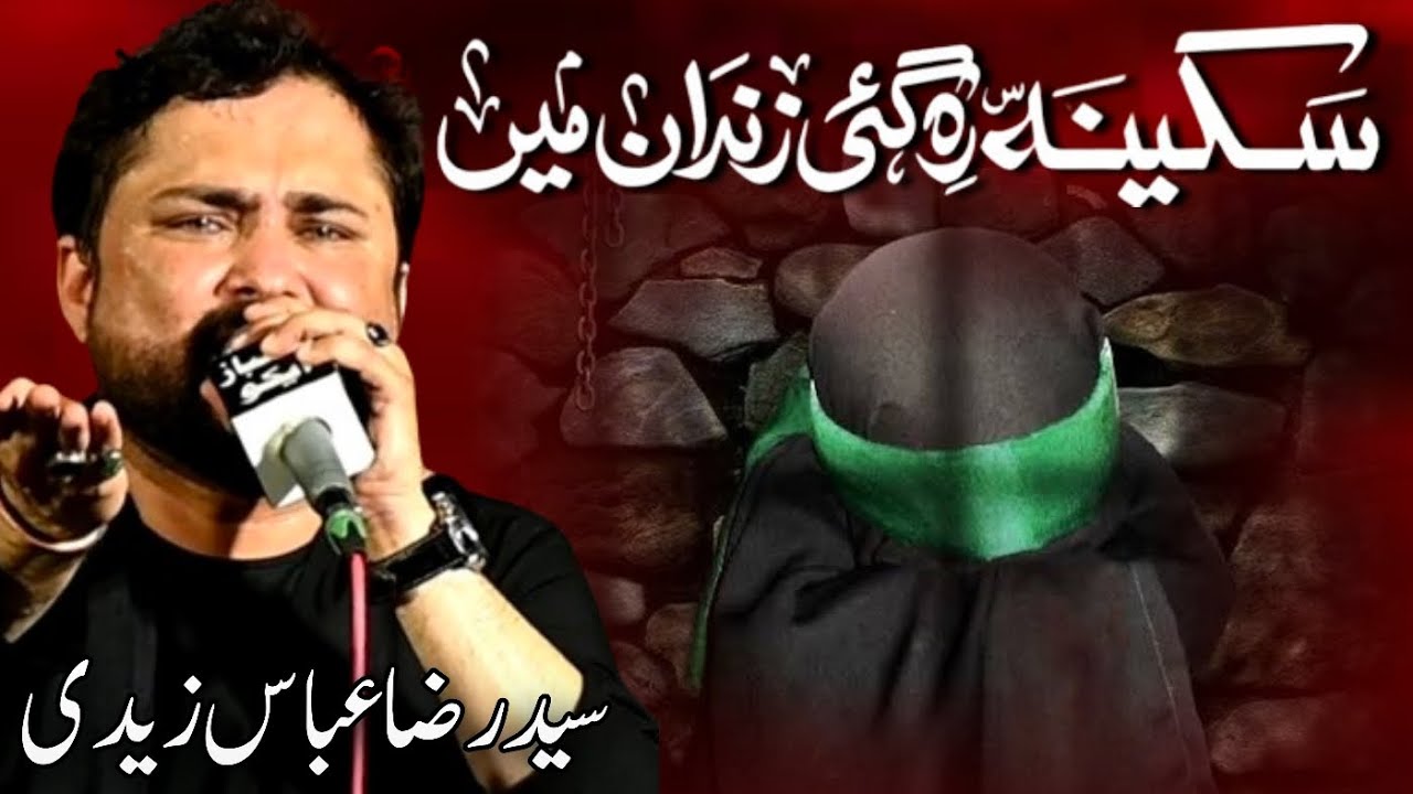 Sakina (sa) Reh Gaye Zindan Main || Syed Raza Abbas Zaidi || Noha Bibi Sakina (sa) || Muharram 2024