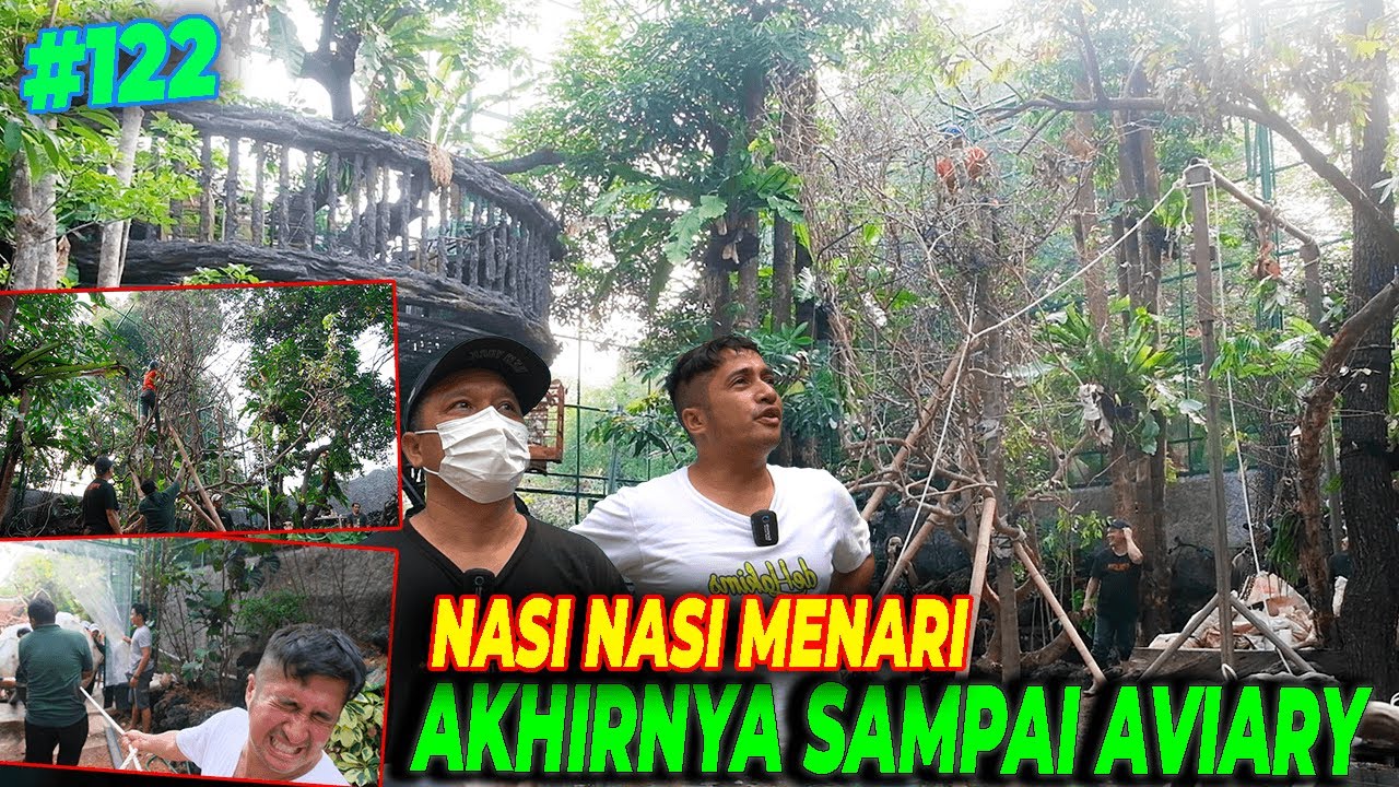 #EPS122 DEHAKIMS AVIARY | PENUHI JANJI.BAWA HIJRAH NASI2 KE AVIARY.YANG BETAH&TUMBUH SUBUR YA DISINI