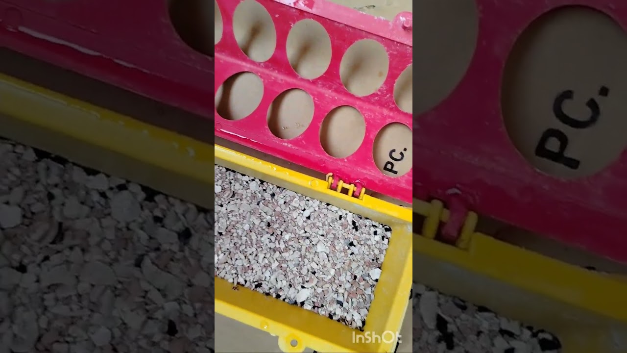 Убралась, всё у них хорошо,,,,