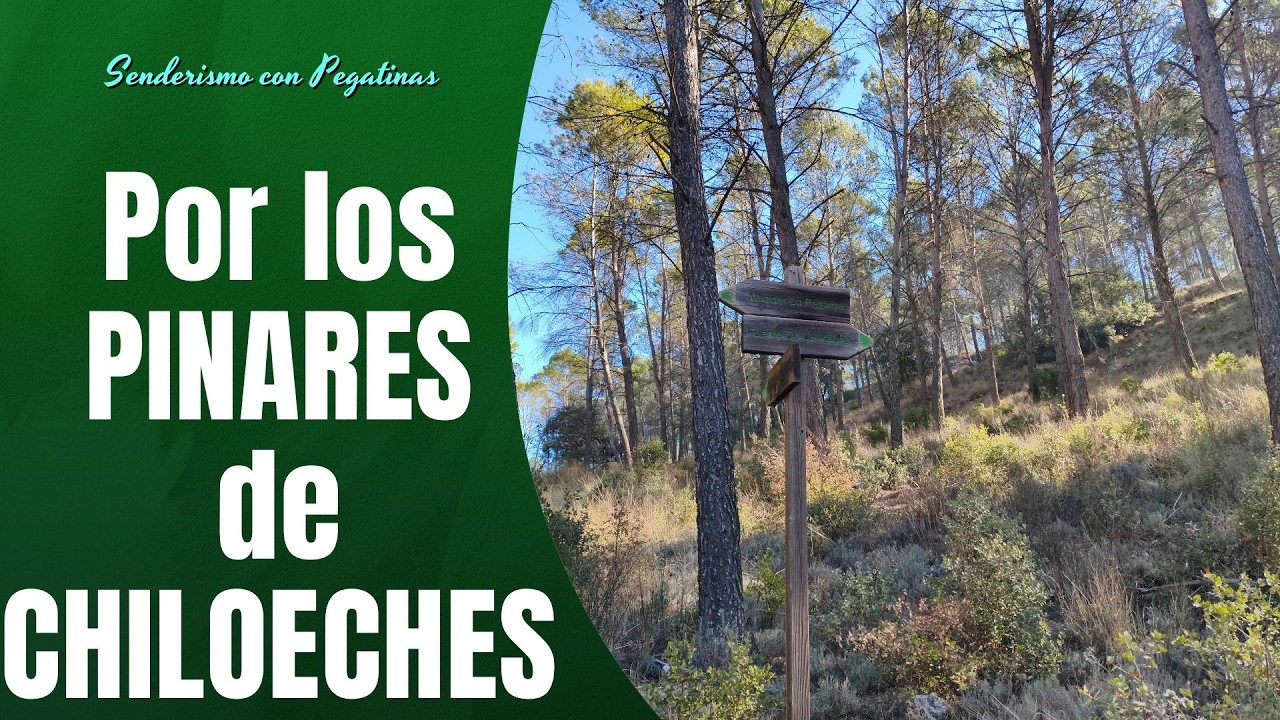Miradores de la Peñalba y del Castillo en Chiloeches