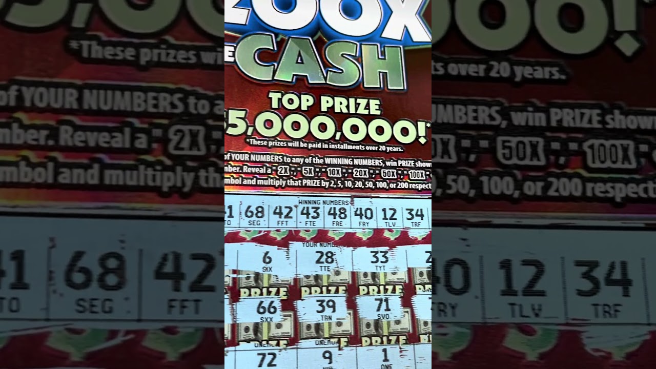 winner #17