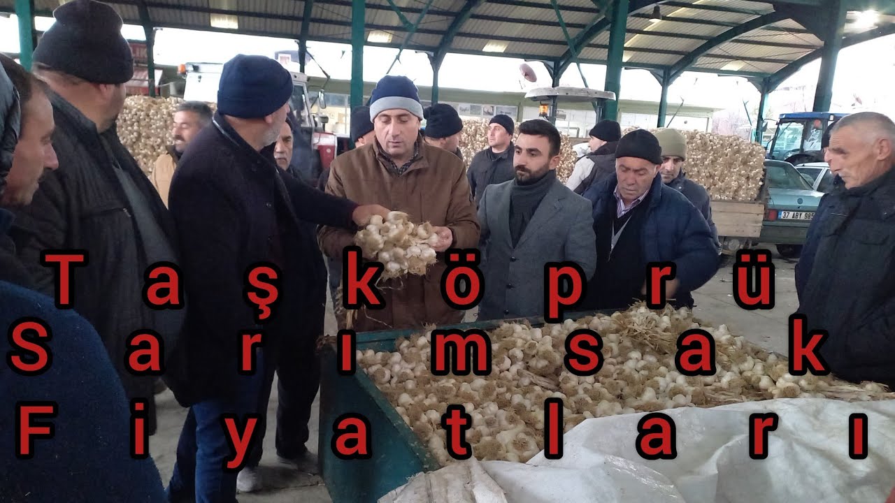 TAŞKÖPRÜ SARIMSAK PAZARI SARIMSAK FİYATLARI GÜNCEL FİYATLAR
