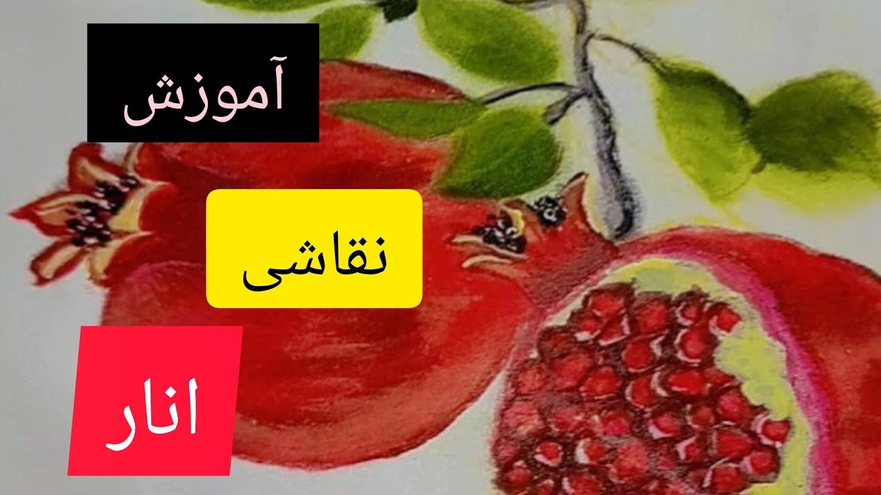 How to paint pomegranate  on fabric