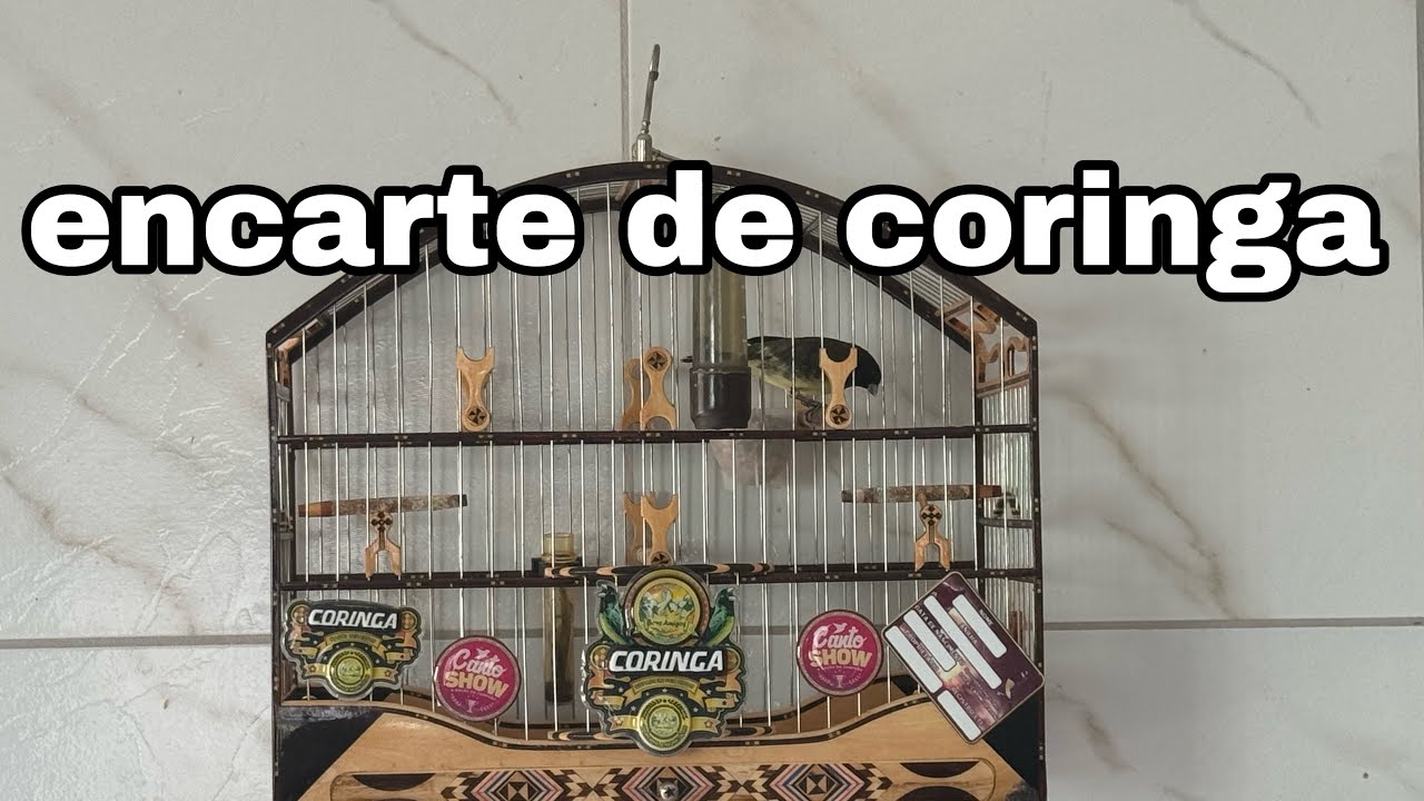 ENCARTE DO PAPA CAPIM CORINGA LOUCO - FELIPE DO PAPA CAPIM