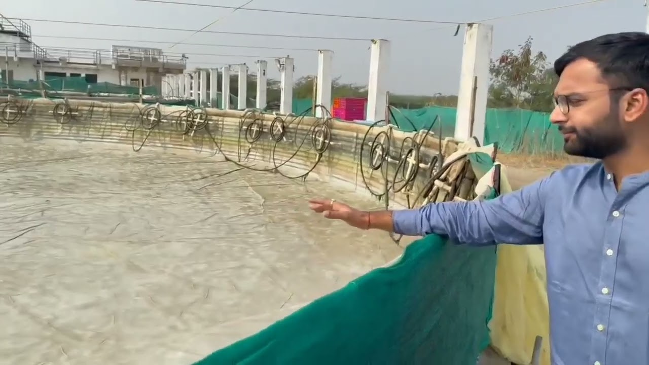 Mayank Sharma explain trail of shrimp 