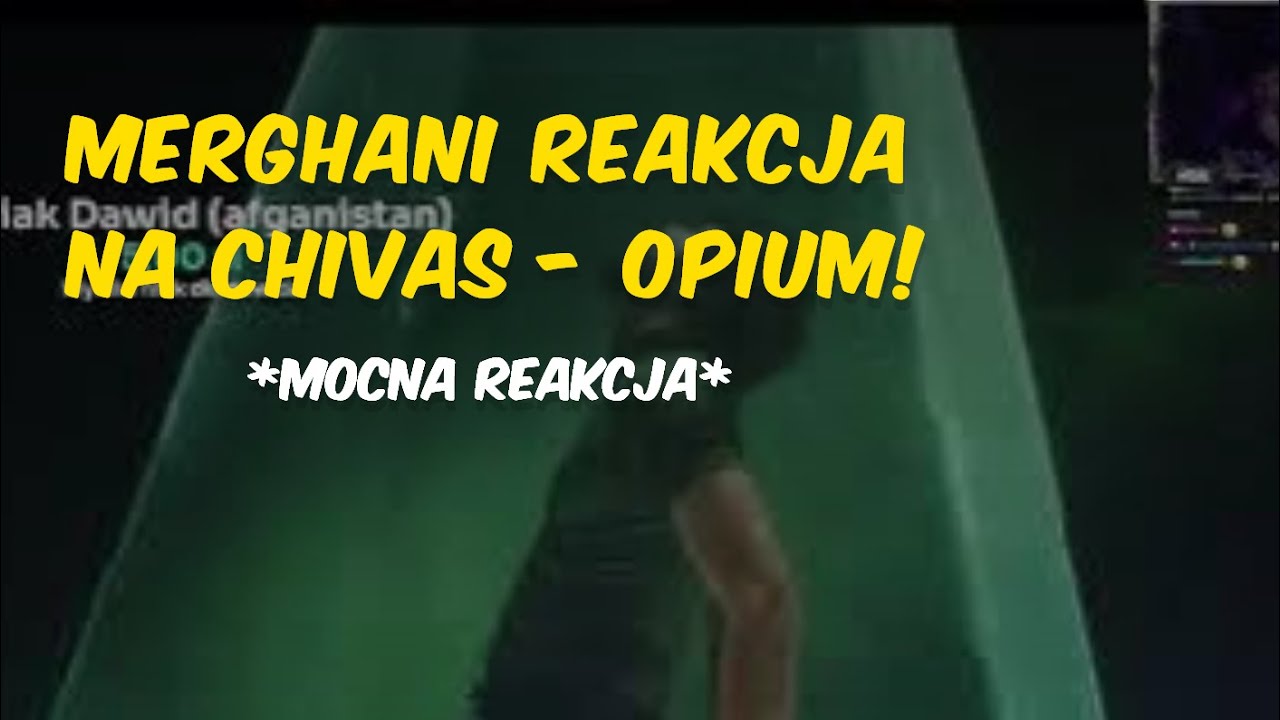 MERGHANI reakcja na 