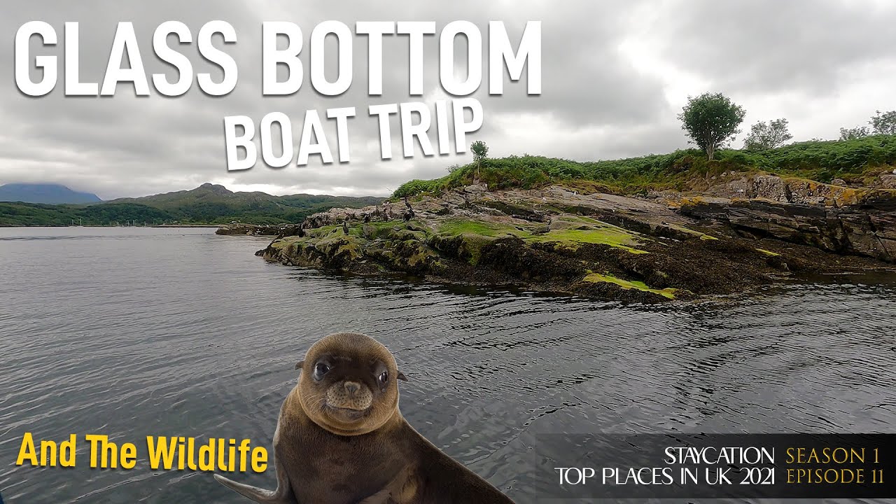 Gairloch Glass Bottom Boat Trip and The Wildlife | (S1 - Ep. 11) 4K