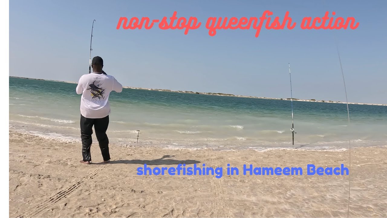 This beach is LOADED with FISH | Part 4 - Targeting queen fish