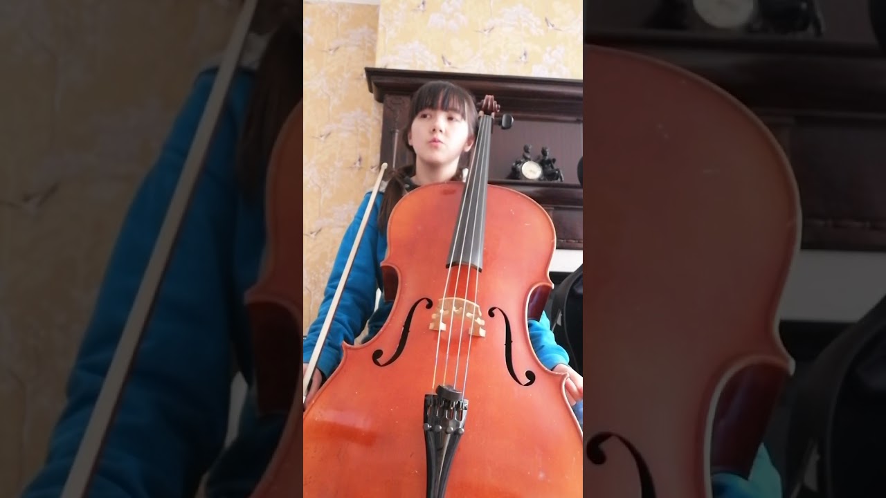 John Williams arr Jerry Brubaker - Harry Potter Symphonic Suite notes