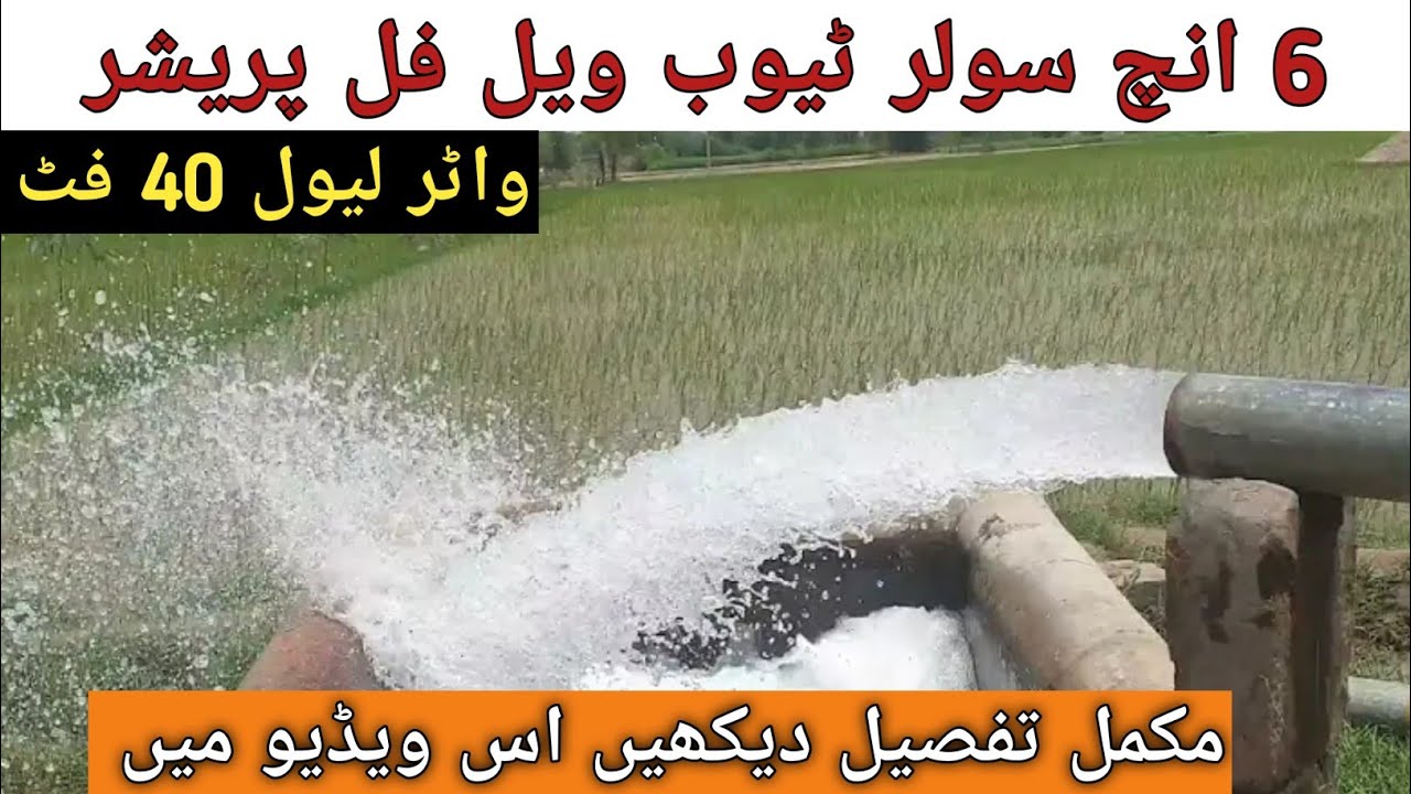 Solar tube well 6 inch delivery/Solar tube well full pressure//Solar tubewell💚