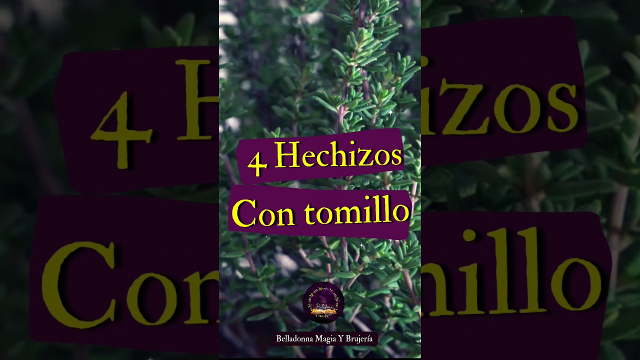 4 hechizos con tomillo #brujaprincipiante #brujitips #wicca