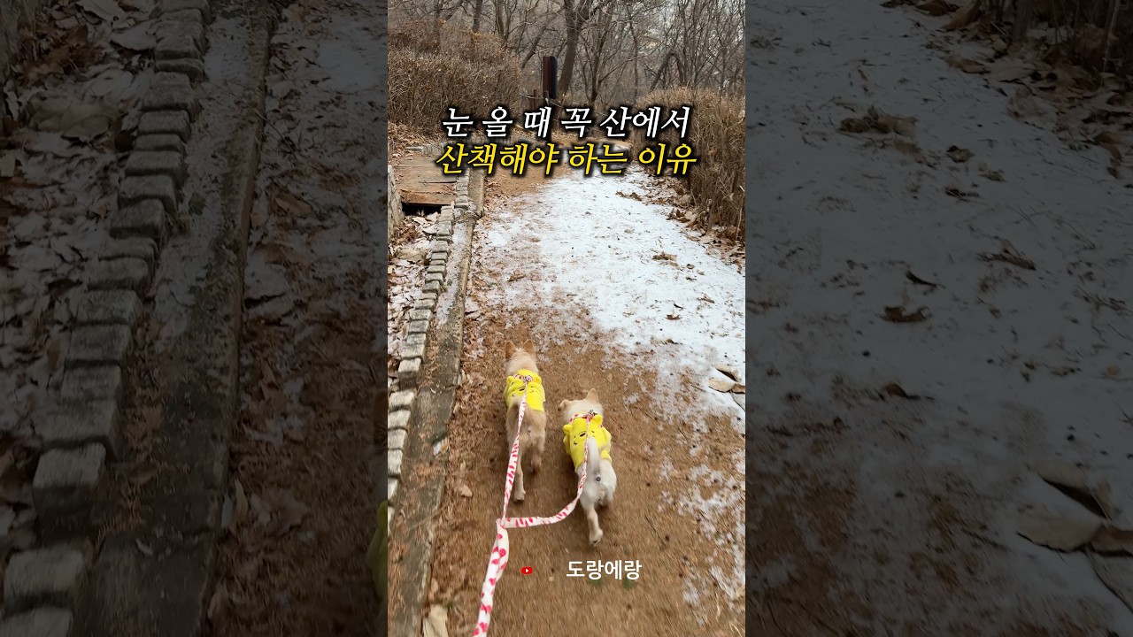 나 혼자만 겟 할 수 없다!