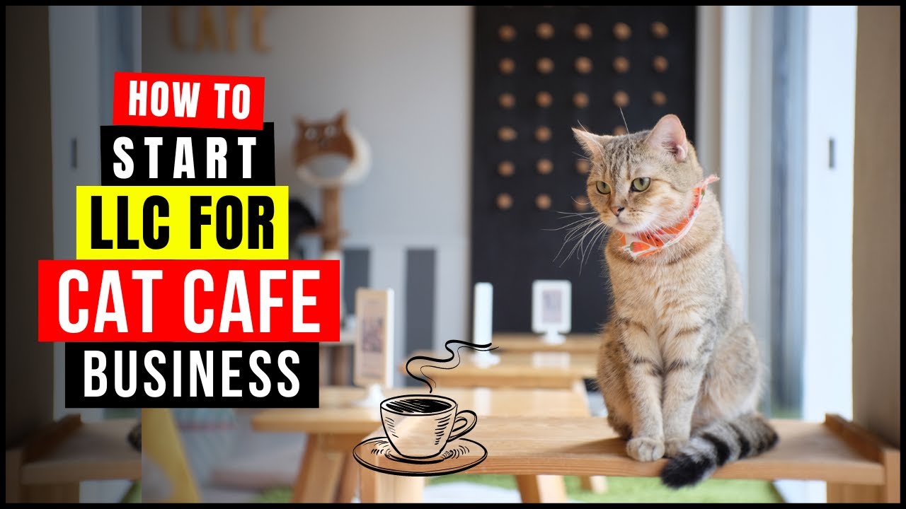 How To Start a Cat Café Business | Register Your LLC for Opening a Cat Café in Any State USA (2026)