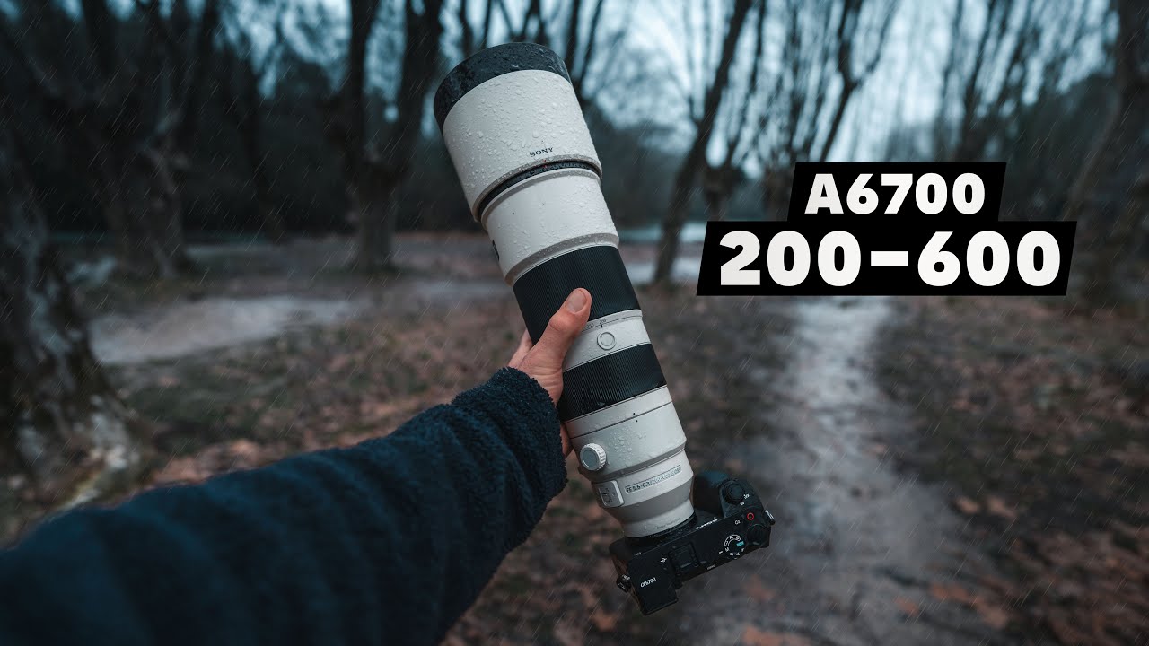 POV Photo Walk | A Quiet Day Photographing Birds