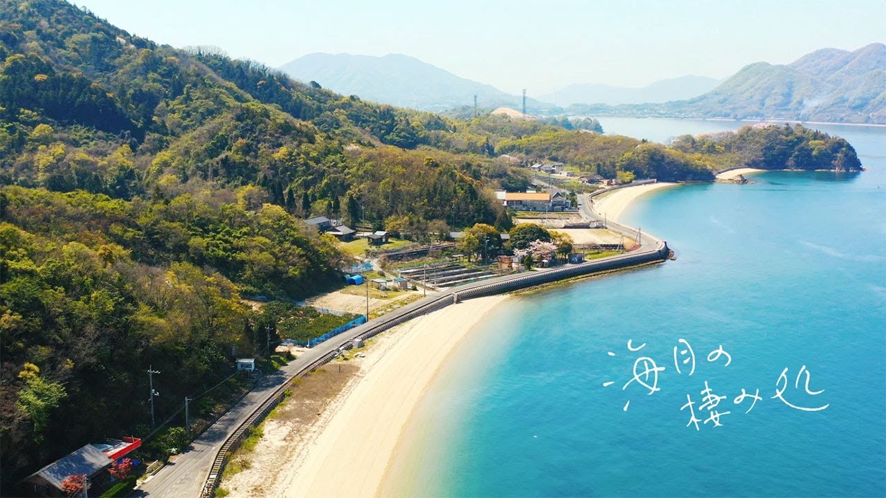 ようこそ、海月の棲み処へ
