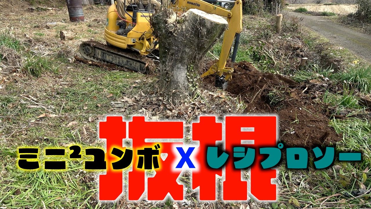 ミニミニユンボとレシプロソーで木蓮の大木の根を引っこ抜く！