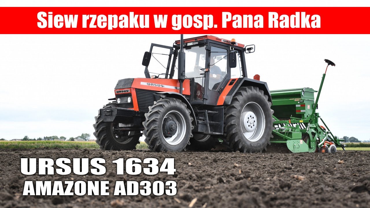 Ursus 1634 + Amazone AD303 – siew rzepaku 2024 w gospodarstwie Pana Radka