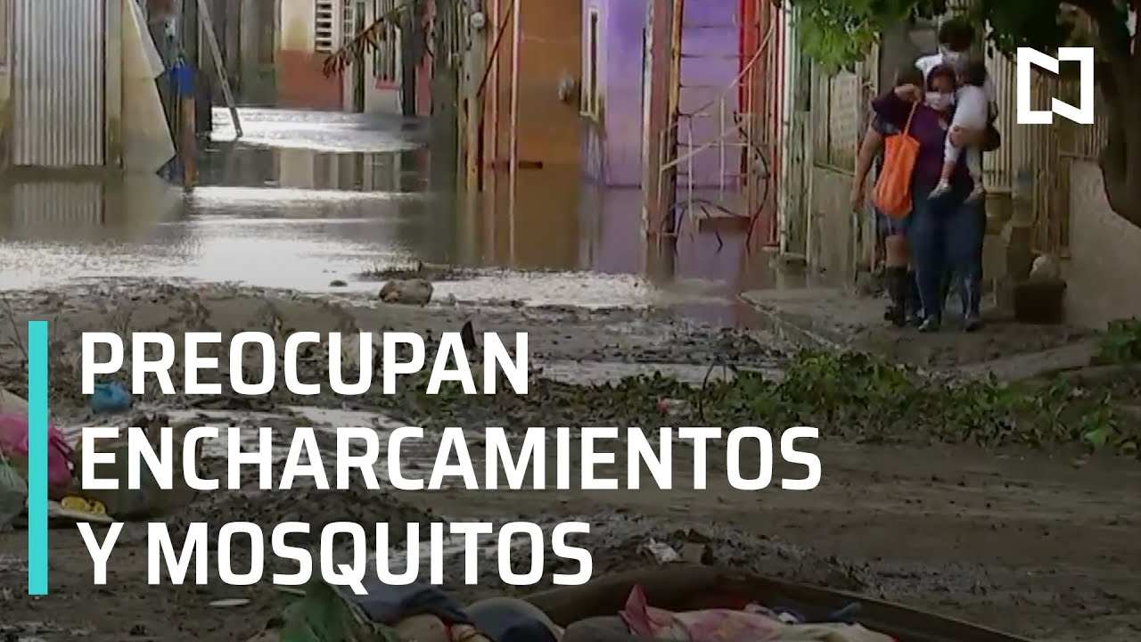 Inundaciones en Tabasco: Criaderos de moscos afectan la salud de damnificados - A Las Tres