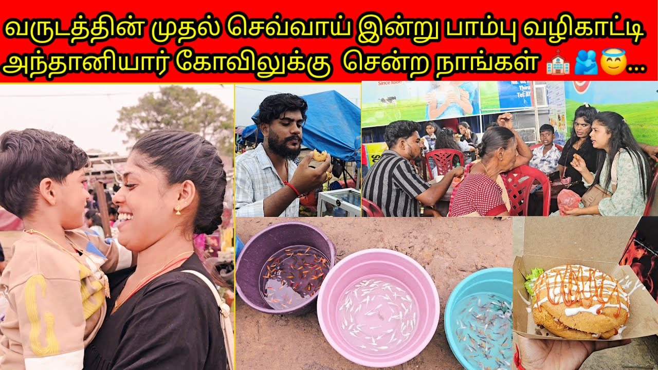  வருடத்தின் முதல்செவ்வாய் இன்று பாம்பு வழிகாட்டி அந்தானியார் கோவிலுக்குசென்றநாங்கள் ⛪️🫂😇/PKR family 