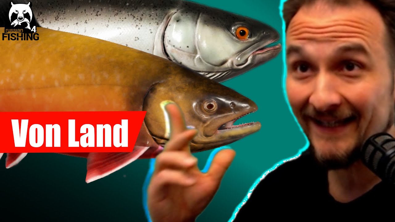 Russian Fishing 4 - Kuori - Regenbogenforelle und Saibling Vom Land