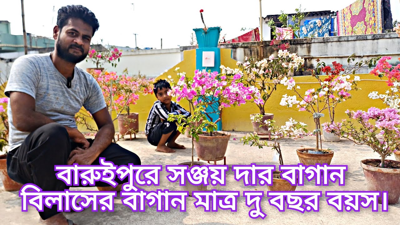 বারুইপুরে সঞ্জয় দার বাগান বিলাসের বাগান মাত্র দু বছর বয়স।