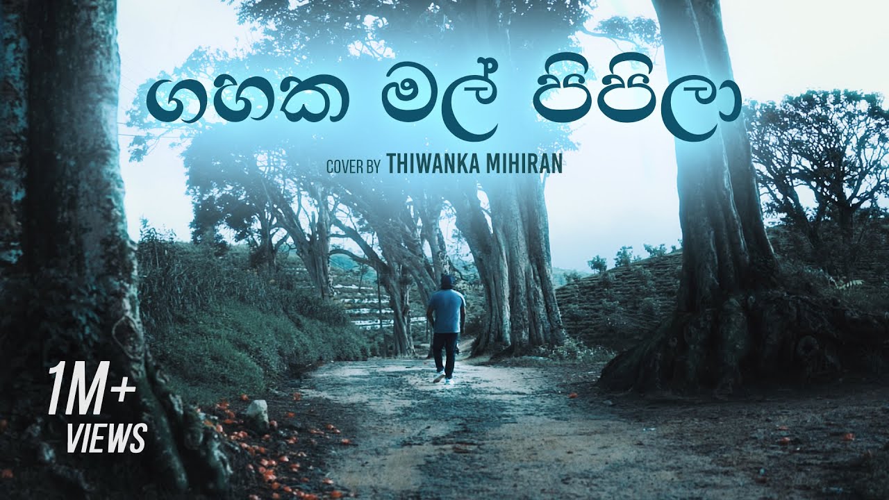Gahaka Mal Pipila | ගහක මල් පිපිලා - Cover by Thiwanka Mihiran