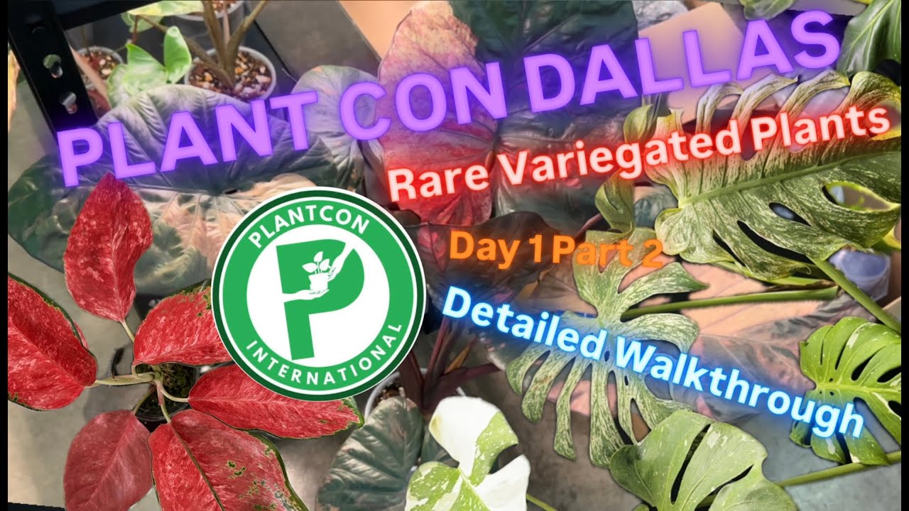 Plant Con Dallas 2025 Detailed Walkthrough Day 1 Part 2 Rare and Variegated Plants