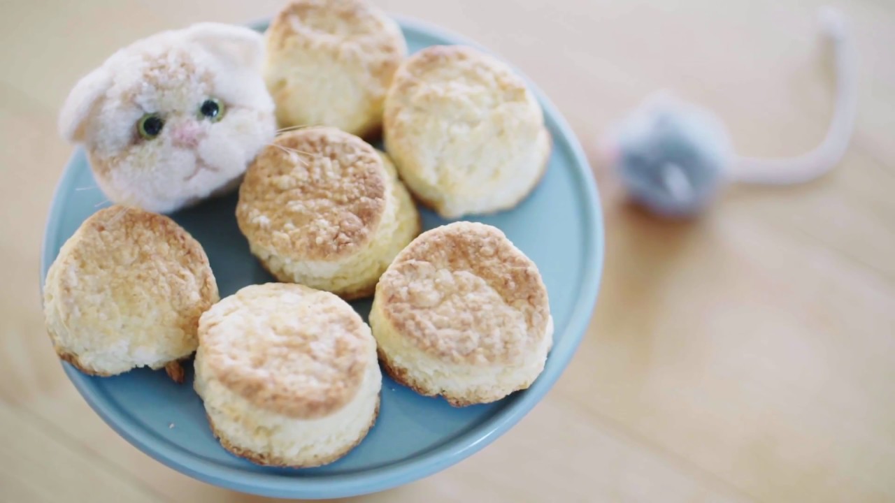 【trikotri／黒田翼】『猫ぽんぽん』　trikotriインタビュー（Short Ver.）