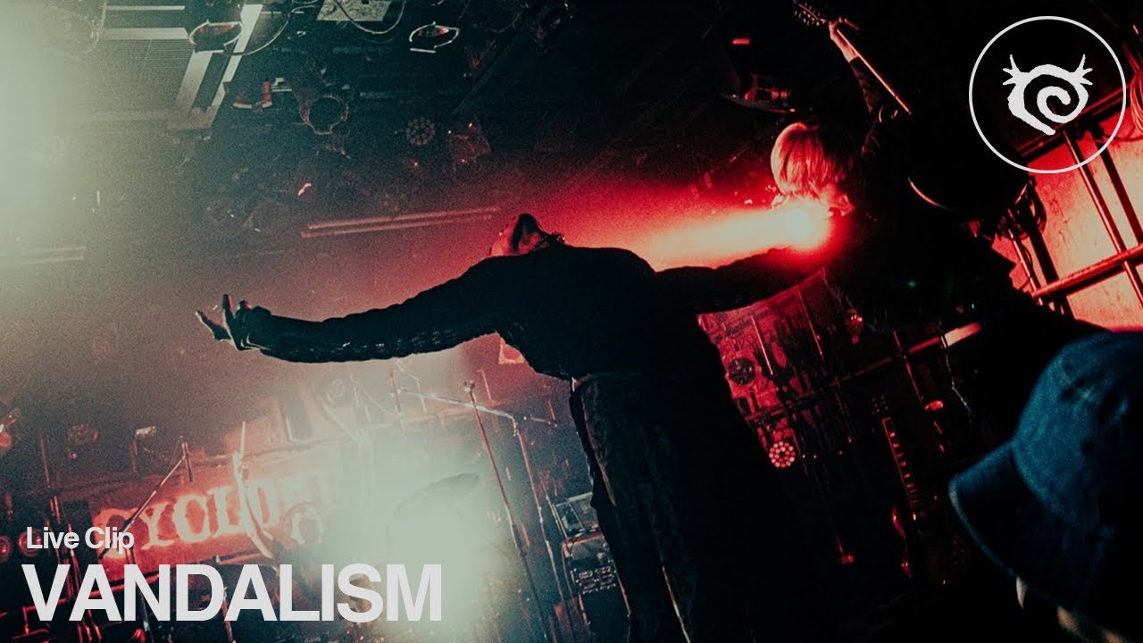 FALLING ASLEEP - VANDALISM (Live Clip)