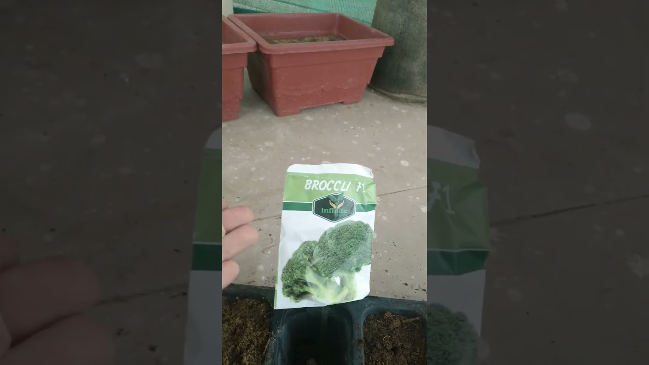 potting mix#soil#peatmoss#gardening #seeds