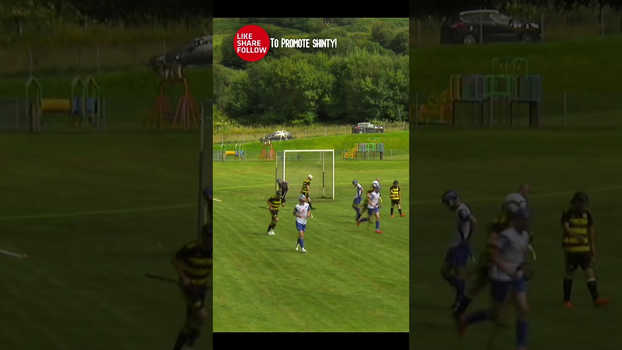 #Shinty