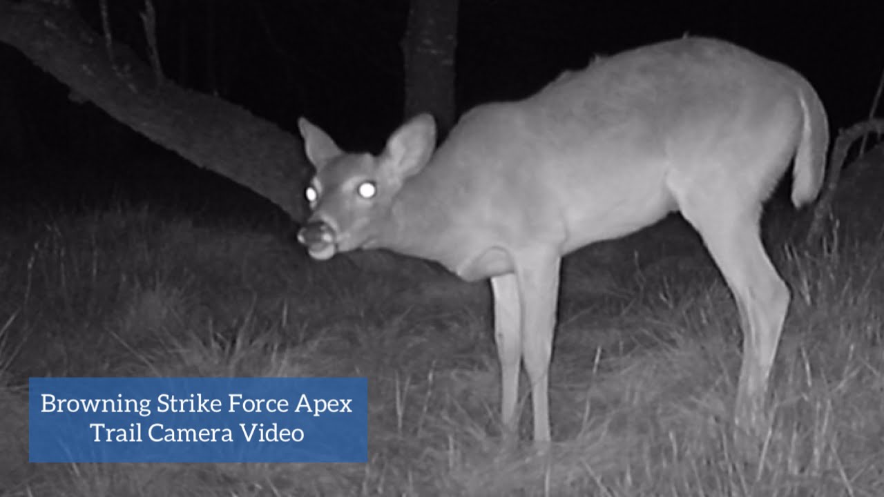 Browning Strike Force Apex Trail Camera March 23-26, 2022
