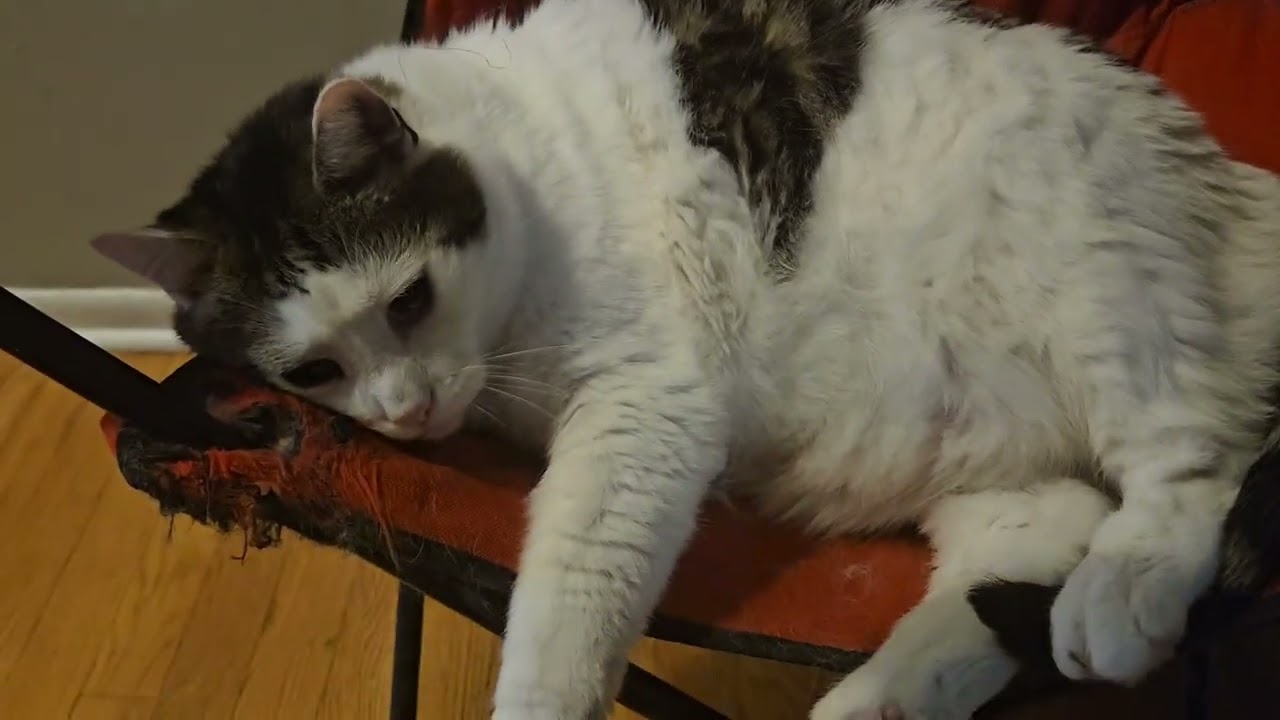 Sam's relaxing