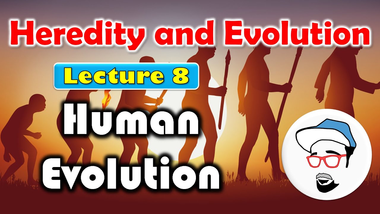 Human Evolution || Heredity and Evolution Class 10 SSC CBSE