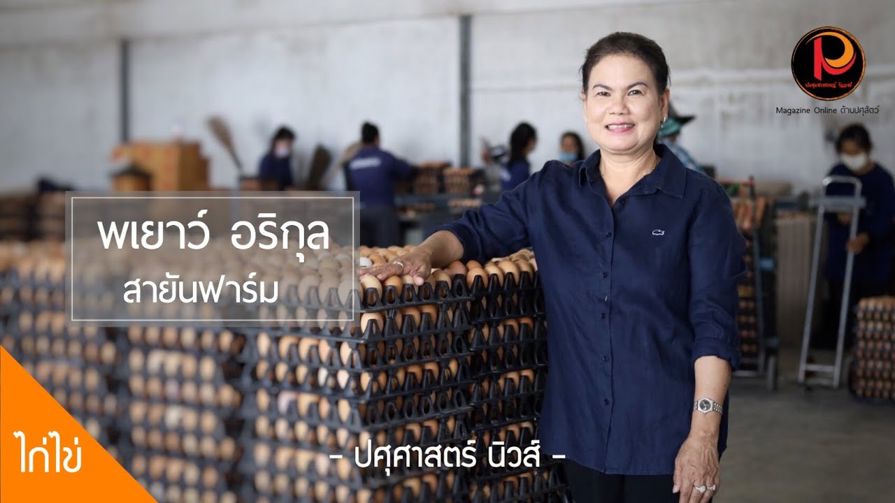 จากเลี้ยงไก่ไข่ 4,000 ตัว สู่ฟาร์มมาตรฐาน และความมั่นคงในอาชีพ | ปศุศาสตร์ นิวส์