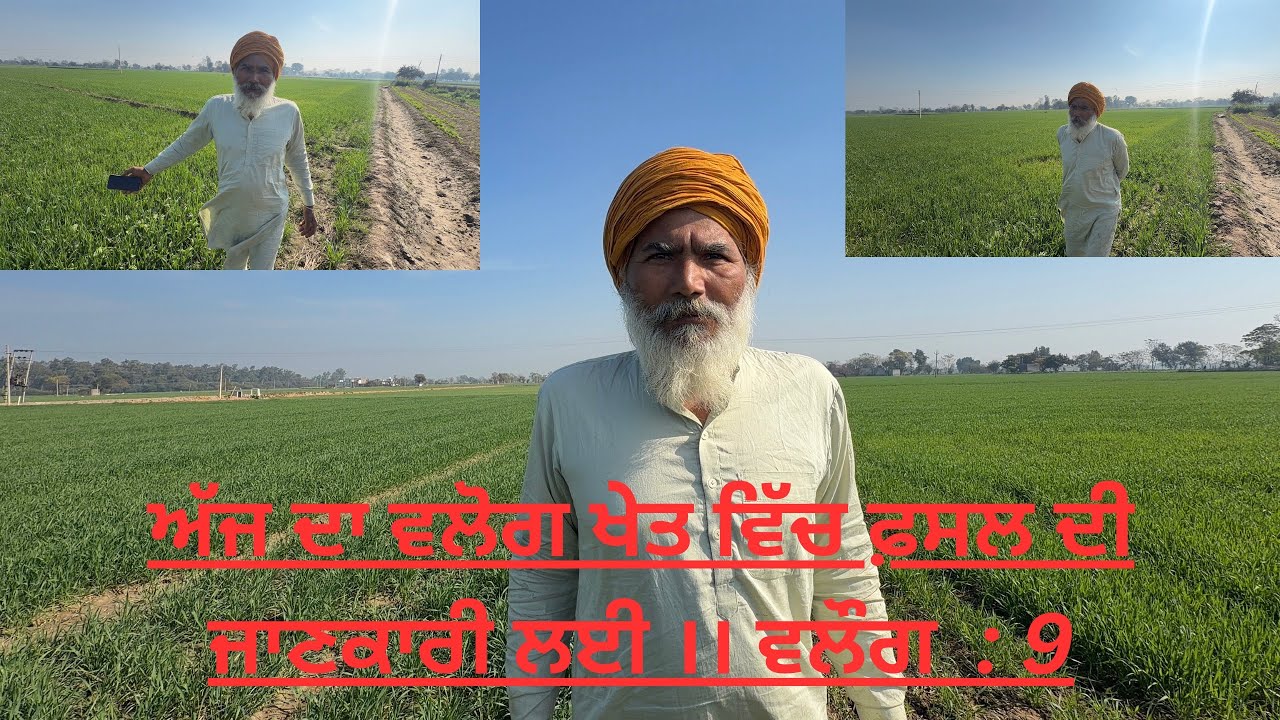 ਅੱਜ ਦਾ ਵਲੋਗ ਵਿੱਚ ਬਹੁਤ ਸਾਰੀਆਂ ਗੱਲਾਂ ਫ਼ਸਲ ਦੀ ਜਾਣਕਾਰੀ ਲਈ।। ਵਲੌਗ : 9