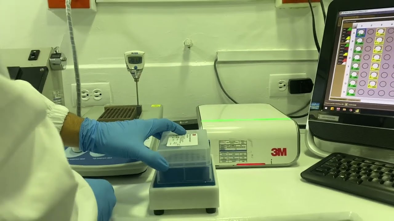 MDS, Sistema de Detección Molecular,Equipo 3M™