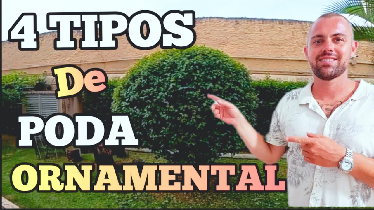 Como Podar / Veja 4 Tipos de Topiaria