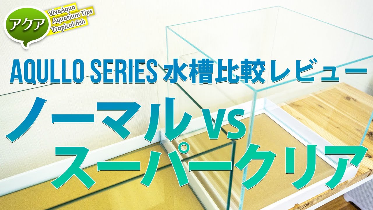 アクロ水槽比較！スーパークリアガラスVSノーマルガラス #アクアリウム #チャーム 【ビバアクア】