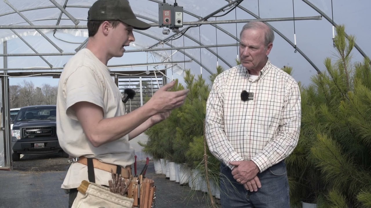 Undercutting and Grafting at Claridge Nursery