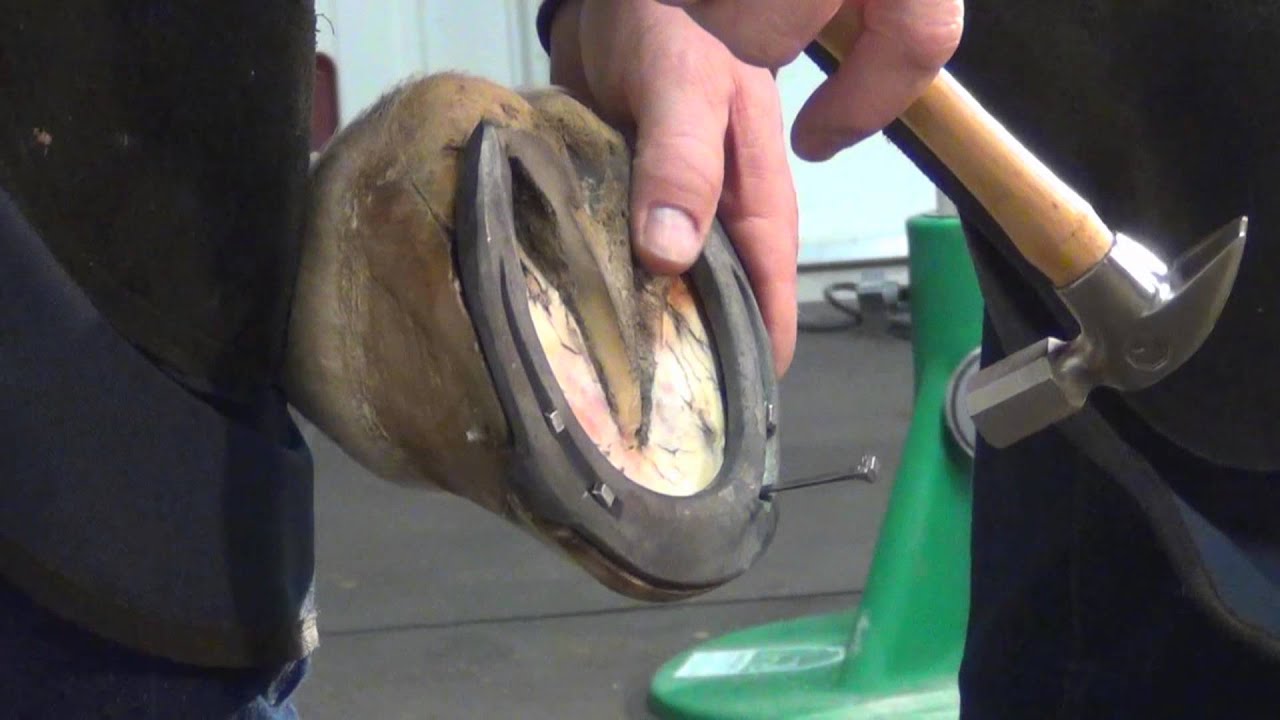Применение переднего башмака Steel Comfort