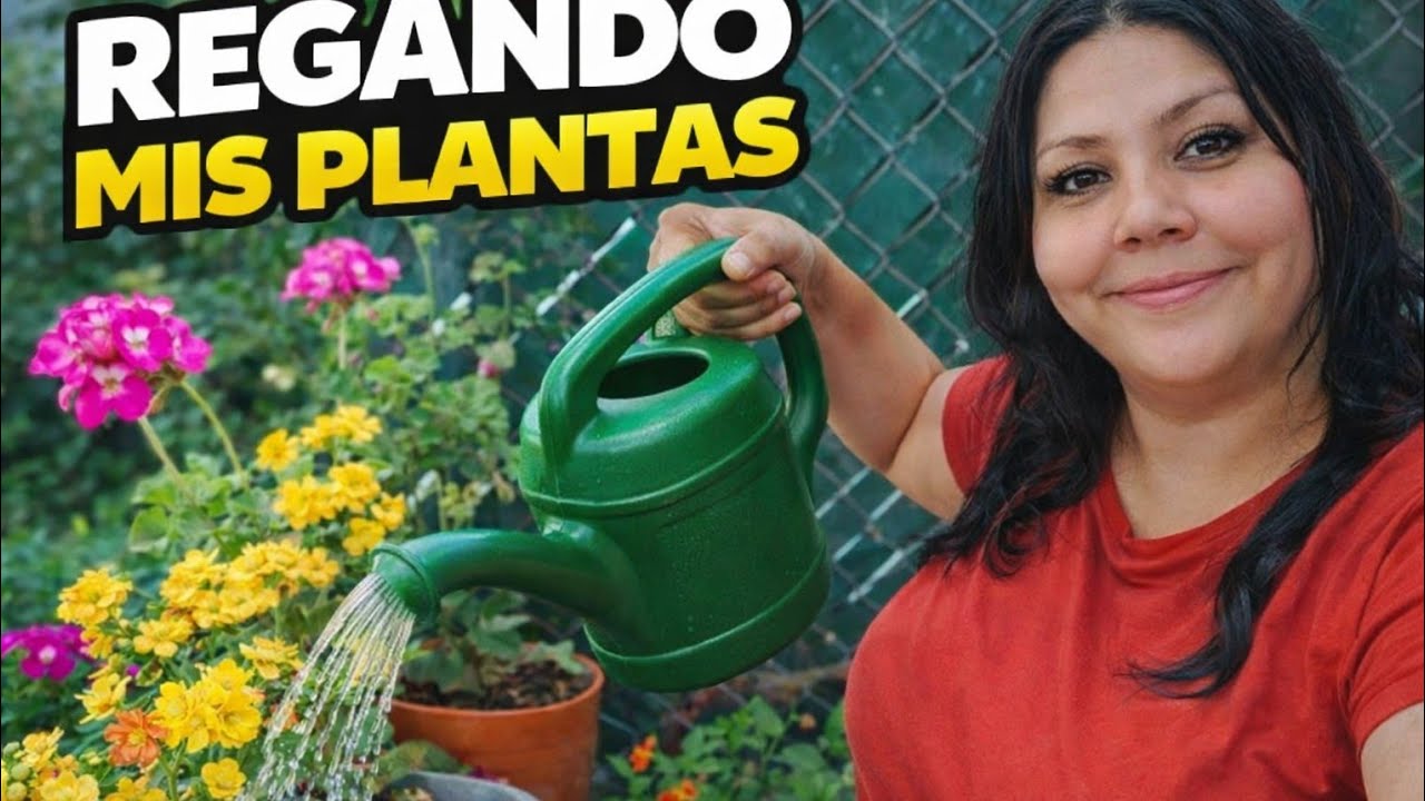 Regando mis  plantas #canaldeplantas #mijardin #flores #videoviral 