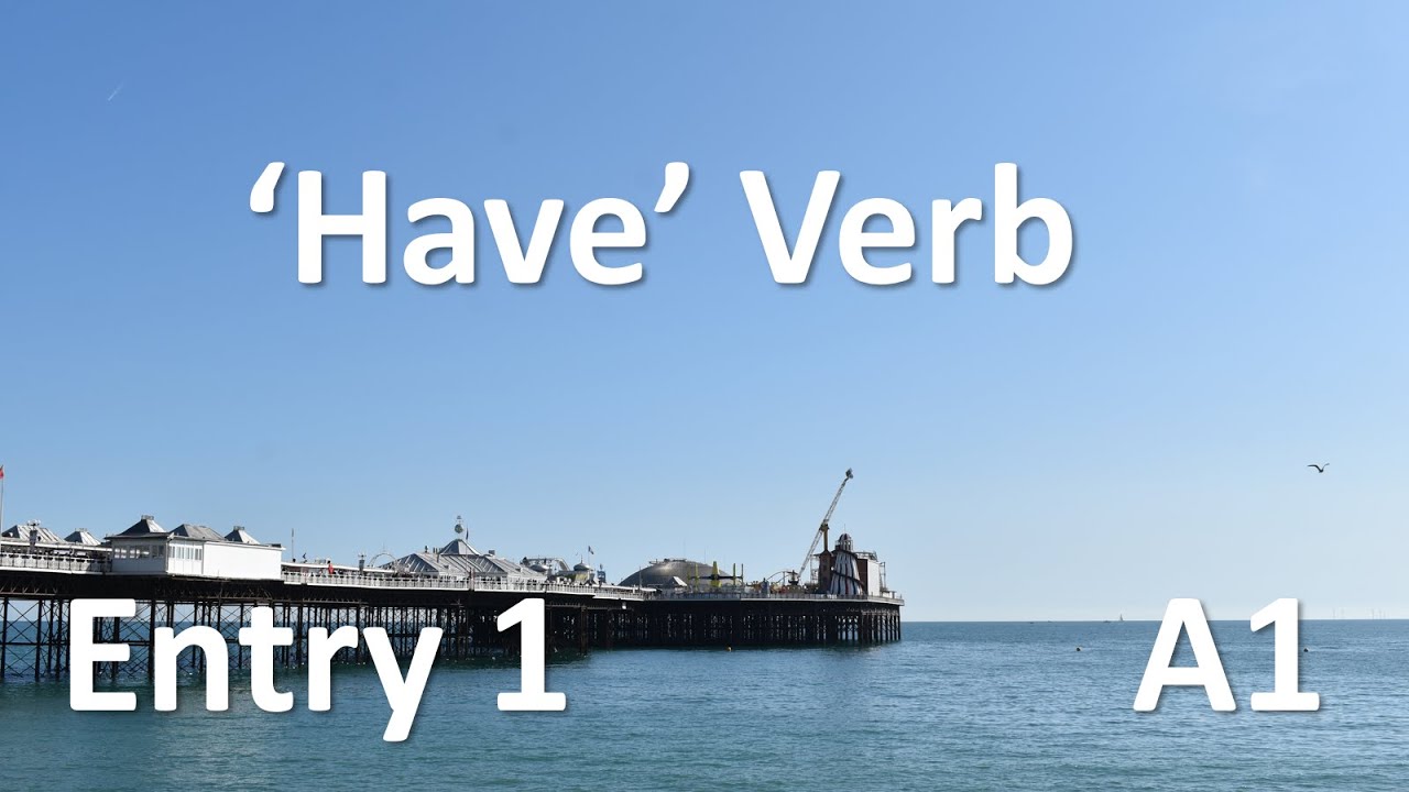 Have verb explained Entry 1/A1