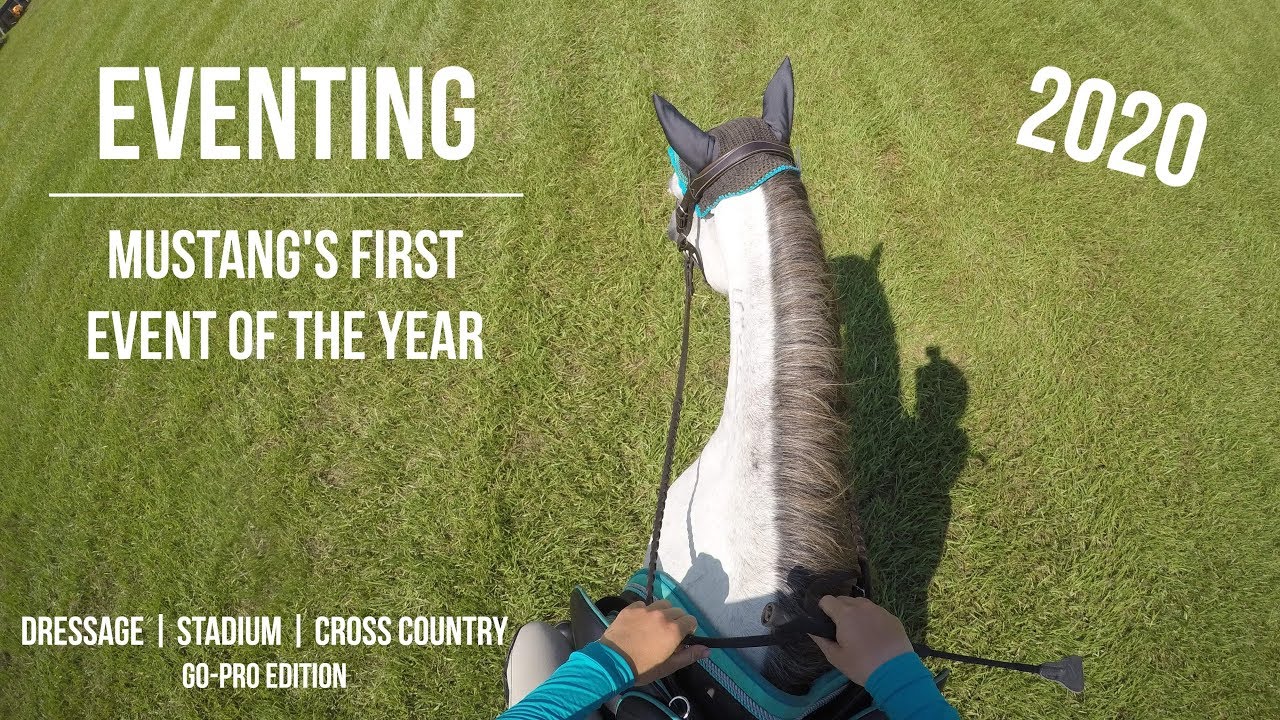 МЫ ПОБЕДИЛИ | Mustang Eventing - Первое мероприятие 2020 года (Выездка | Стадион | Кросс)