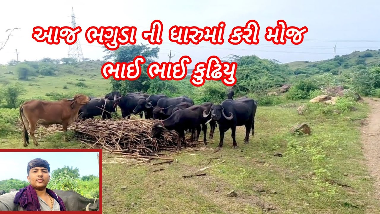 આજ ભગુડા ની ધારુમાં કરી મોજ ભાઈ ભાઈ કુઢિયુ