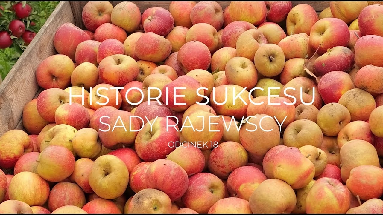 Historie sukcesu - Karolina Rajewska, Sady Rajewscy [PFP]