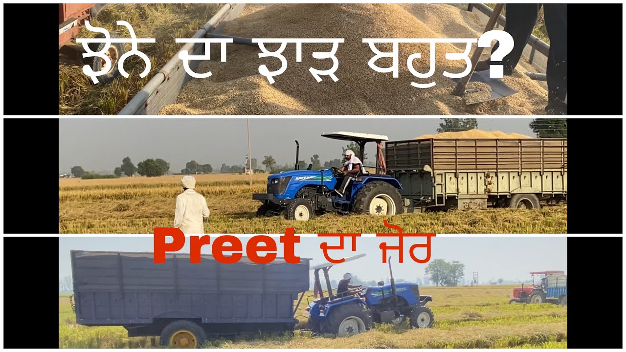 Preet 6049 da jor /ਝੋਨੇ ਦਾ ਝਾੜ ਬਹੁਤ ?(subcirbe )Brar Guntaj 52