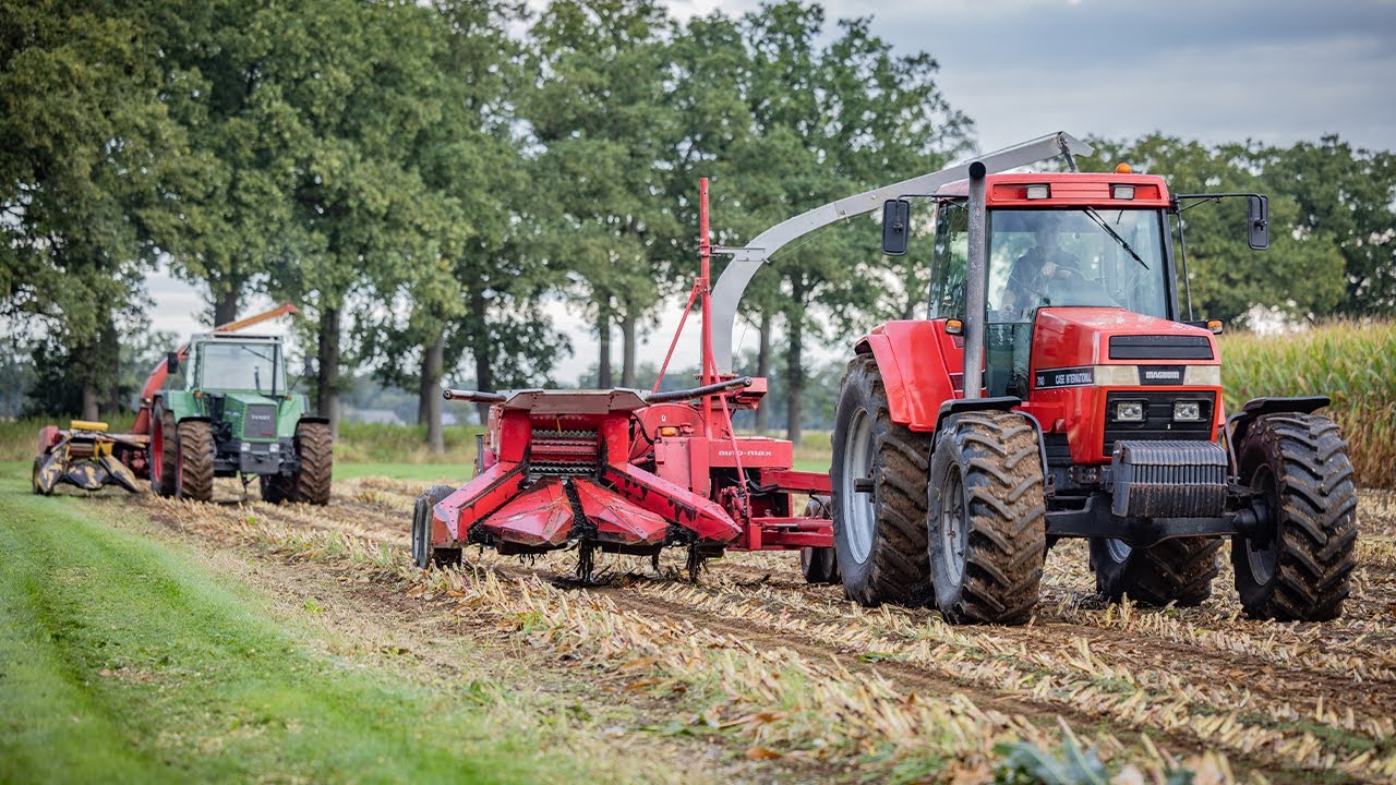 Maisoogst USA stijl | Case Magnum 7140 | Fendt 615 LSA | getrokken GEHL en New Holland hakselaars