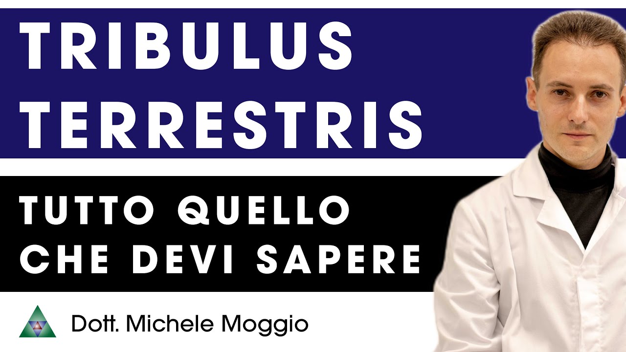 TRIBULUS TERRESTRIS a cosa serve?