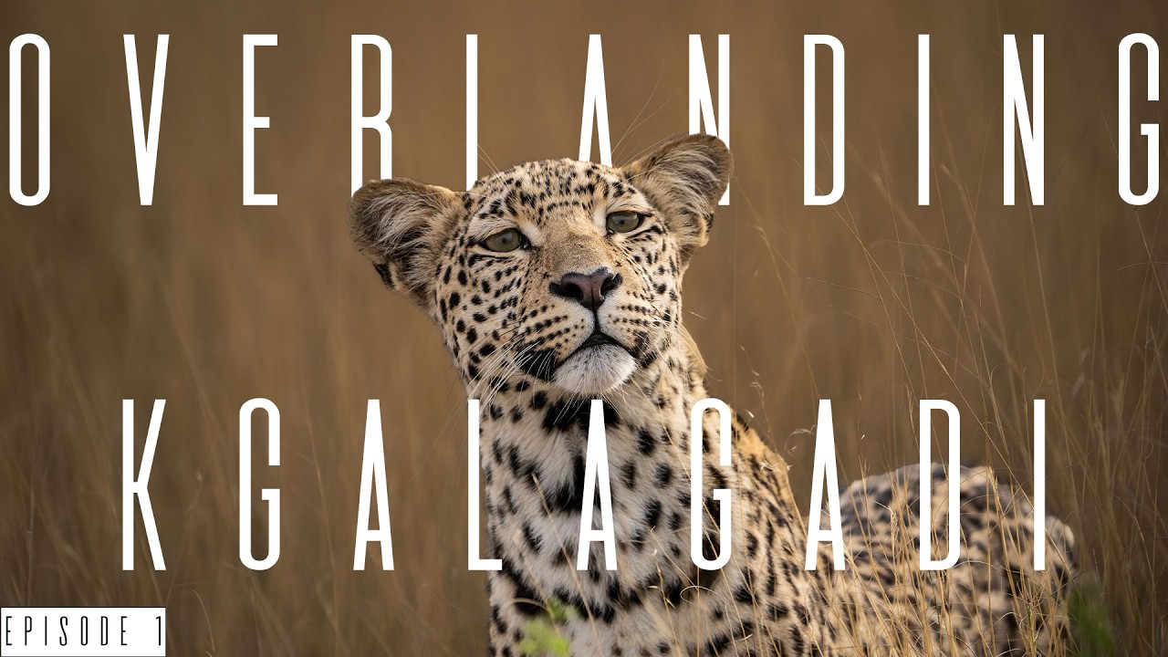 Camping in the southern Kgalagadi desert - Overlanding Botswana - S1E1